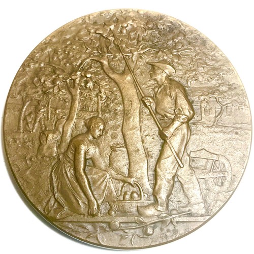 Médaille bronze syndicat - médaille,