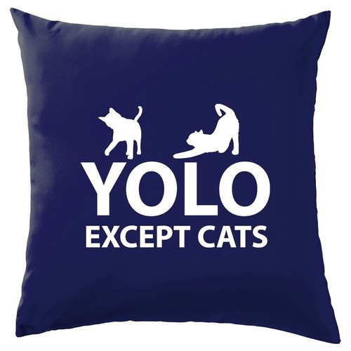 Yolo sauf les chats coussin - yolo,