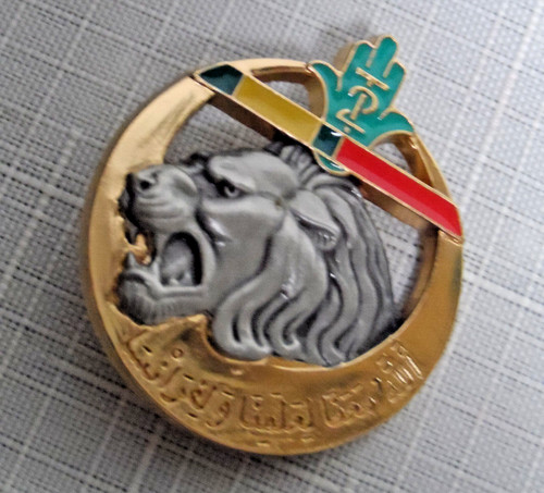 Insigne militaire regiment - militaire,