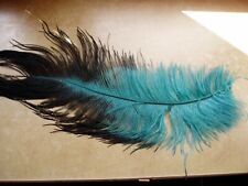 Plume d'autruche ancienne plumet à chapeau plume coiffe ancienne costume  ancien