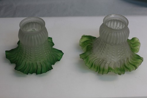 Tulipes verre opaque - tulipes, de