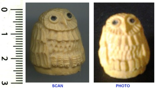 Collection chouette hibou - chouette/hibou,