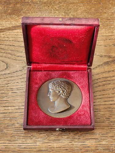 Delannoy medaille jeunesse - medaille,