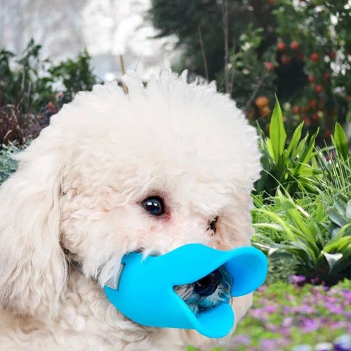Muselière pour chien - , avec