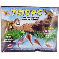Amazing Triops 🦖🦖🦖