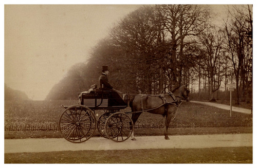 Cocher voiture cheval - cocher, à