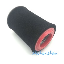 Air Filter Foam Assy For