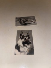 IMAGE VIGNETTE STICKER