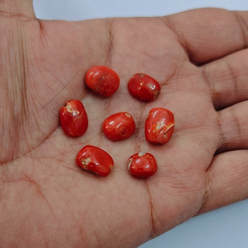 Cabochon corail rouge naturel