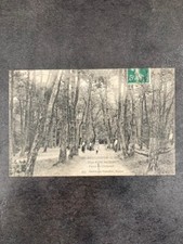 CPA 44. Le Pouliguen. Loire Inférieure. Une Allée du Bois, Jeux de Croquet.