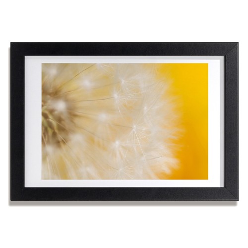 Tulup photo 30x20cm cadre - photo,