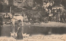 Environ de Vichy, les Malavaux - attelage chevaux, belle animation