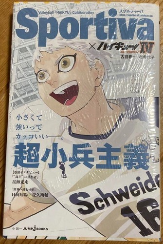 Haikyuu shousetsu ban - haikyuu,