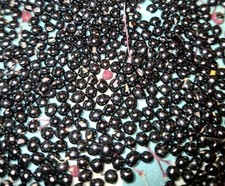 30 graines de poivrier de Sichuan récolte 2025 culture sans pesticides