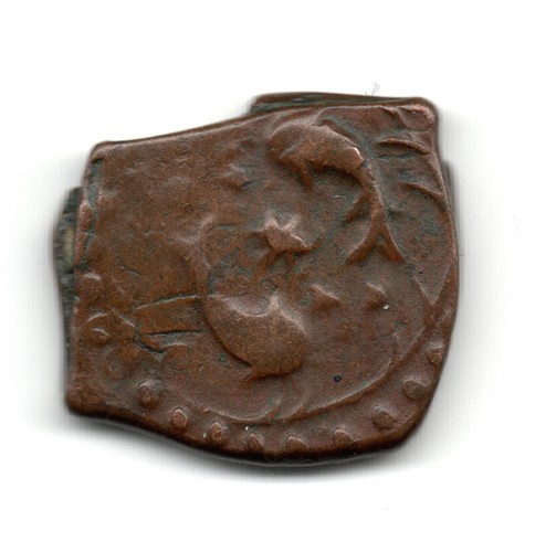 Afghanistan falus - falus,