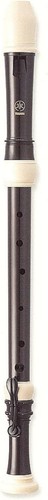 Yamaha abs recorder - abs,