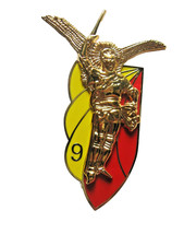 CHASSEURS PARACHUTISTES DU 9°