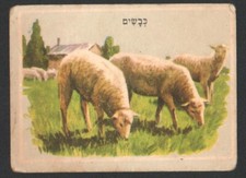 Jeu de cartes moutons