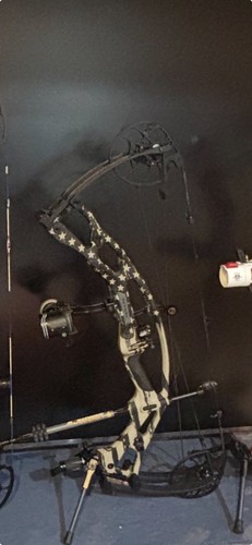 Hoyt rx10 archery - rx10, bow