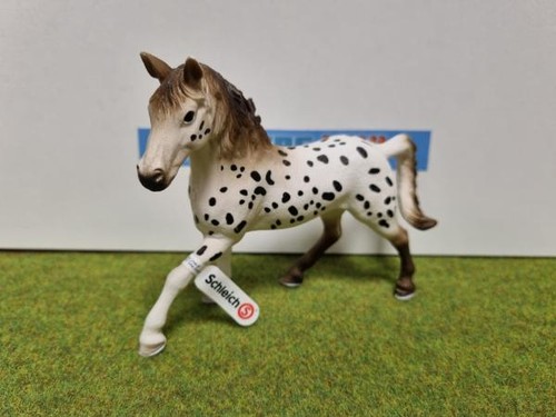 13889 etalon knabstrupper - -,