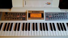 Roland E-09W E-09 Arrangeur interactif / Interactive Arranger Keyboard
