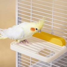 Plateforme pour Oiseaux, Lot