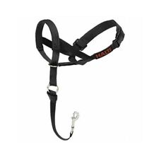 Company of Animals - Collier d'entraînement pour chiens - Taille 4