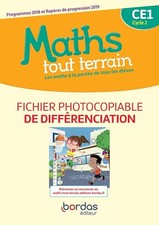 Maths tout terrain CE1: Fichier de différenciation