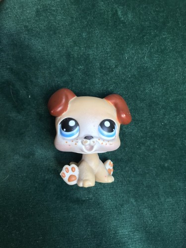 Petshop chien boxer - chien,