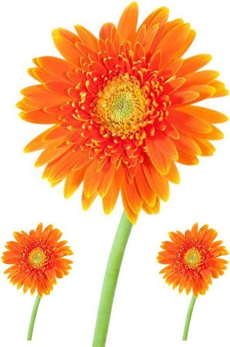 Set autocollant sticker - autocollant,