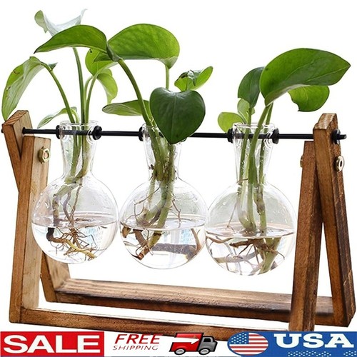 Wooden stand plant terrarium - wooden,
