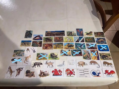 Image panini autocollant - panini,