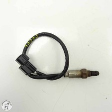 Sonde lambda  Royal Enfield