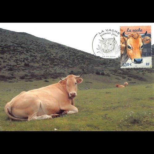 Cef vache 24 4 - -, 24/4/2004