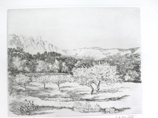 SALOMON ALFRED BOISECQ 1911 /
