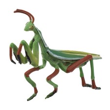 Mante Religieuse Plastique