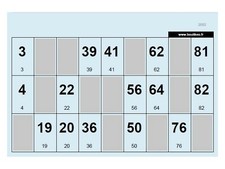 Lot de 500 Cartons de Loto Standard – Bristol 160g – 148x105mm – Bleu