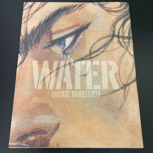 Takehiko inoue vagabond - takehiko, art