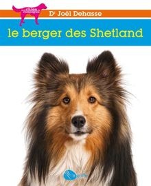 Berger des shetland de - le,