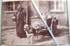 Laitiere et sa charette à chien Dietrich & Co Bruxelles Albuminé Photo 1880