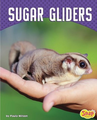 Paula wilson sugar gliders - paula, m.
