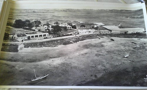 Photo lapie aerienne - aerienne, x