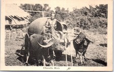 INDOCHINE - Type de charrette