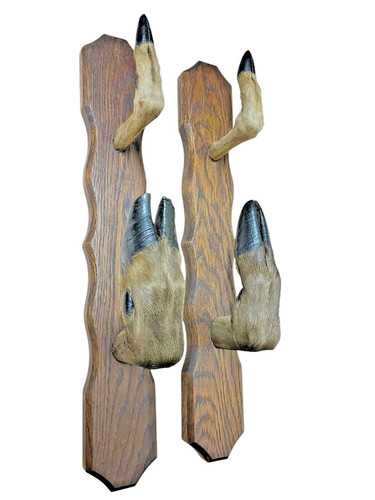 Ancien porte fusil trophée - ancien,