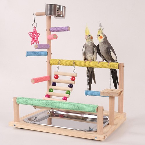Aire jeux pour perroquets - jeux,