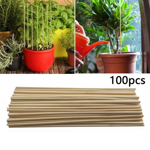 100pcs piquets bois 20cm - piquets, en