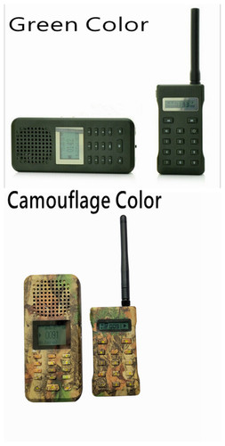 Chasse oiseau caller haut - caller,