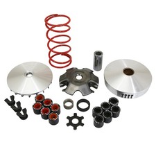 Variateur scoot malossi over