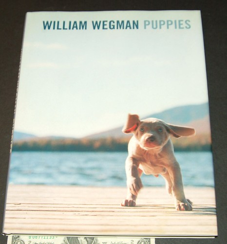 William wegman puppies - william, by