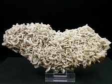 ÉPIDOTE SUR ALBITE - CANARI, CORSE, FRANCE - 15 x 6 cm - 153 g